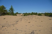Пески