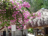 Здоровая жизнь.